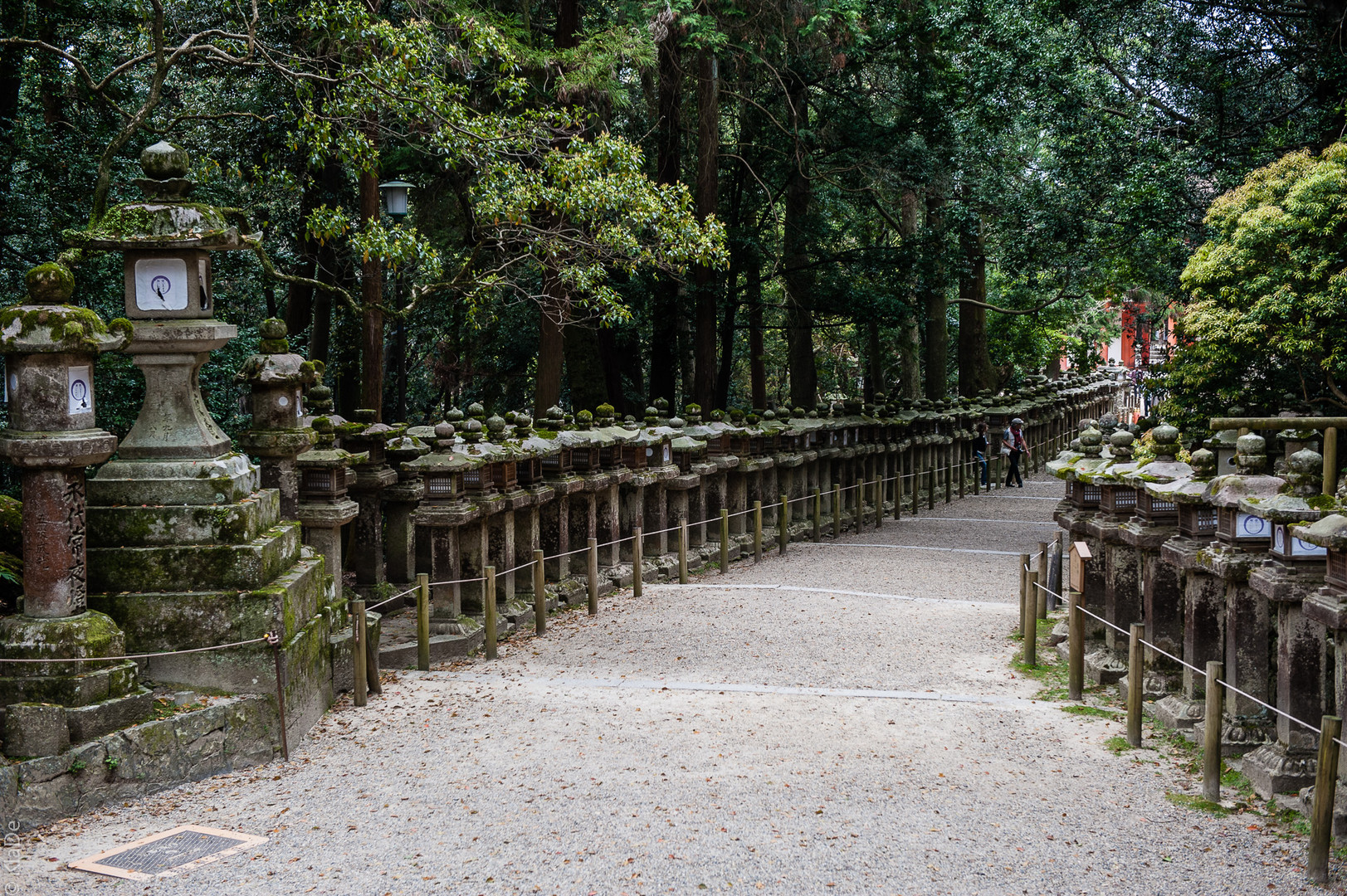 Nara - Kasuga Taisha Schrein