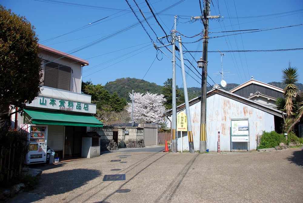 Nara - Residential Area