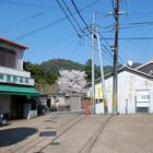 Nara - Residential Area