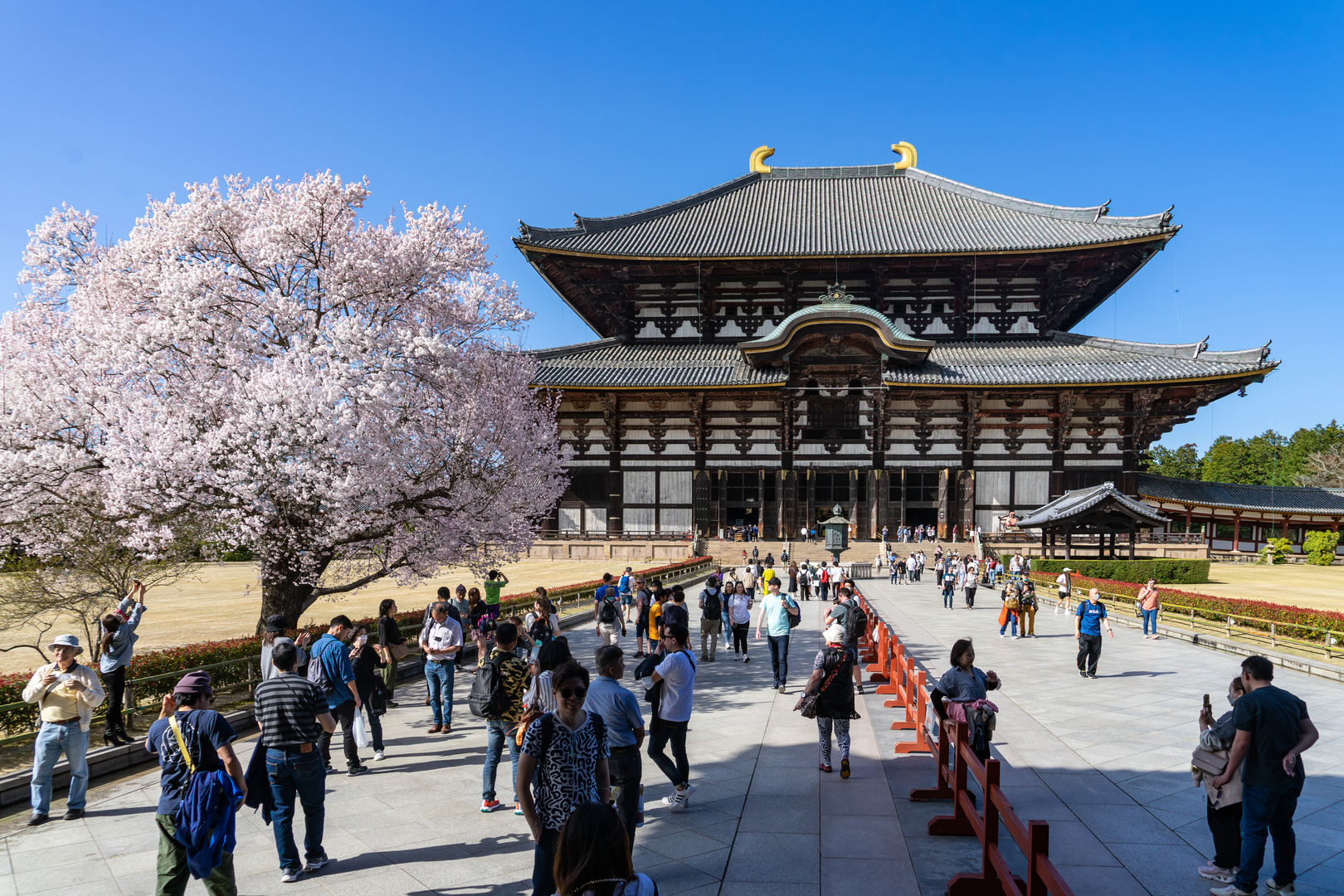 Nara - Todai-ji-Tempel