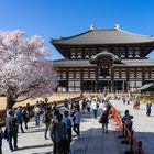 Nara - Todai-ji-Tempel