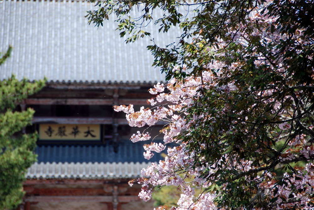 Nara - Todai-ji Temple