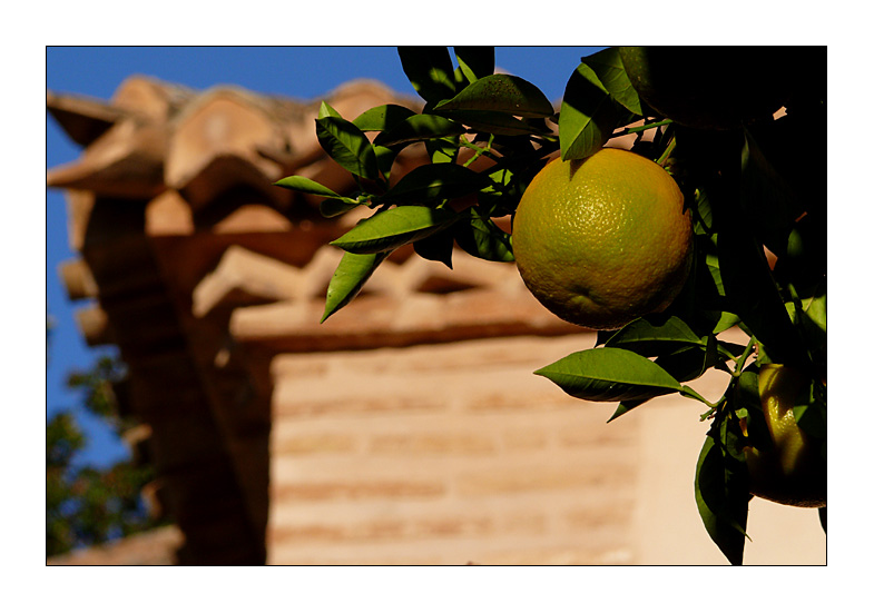 Naranja de Alhambra