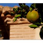 Naranja de Alhambra