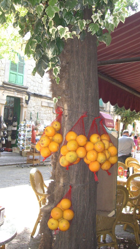 naranjas