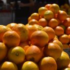 Naranjas al sol