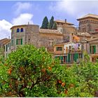 Naranjas en Valldemossa