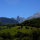 Naranjo de Bulnes - 2017 (1)