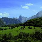 Naranjo de Bulnes - 2017 (2)