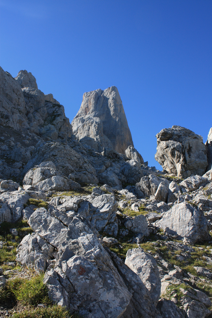 Naranjo de Bulnes