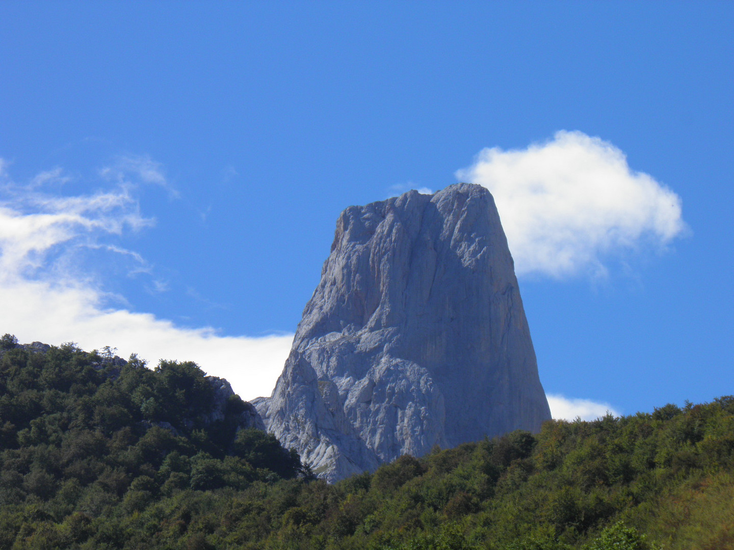 Naranjo de Bulnes