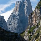 Naranjo de Bulnes