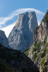 Naranjo de Bulnes