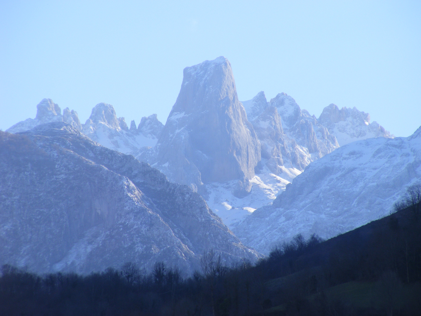 NARANJO DE BULNES