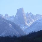 NARANJO DE BULNES