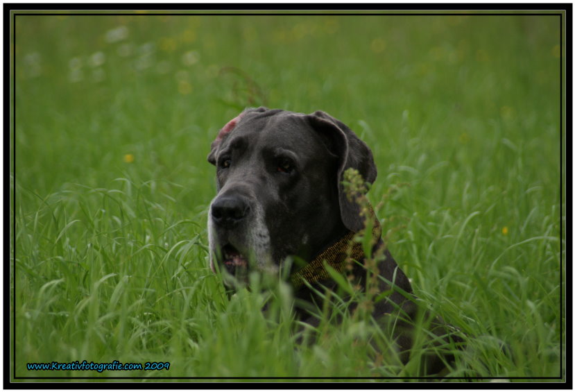 Narinchen spielt verstecken !