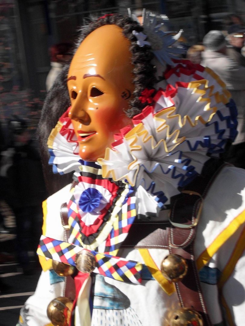 Narrenbilder aus der Badisch-Schwäbischen-Allemannischen Fasent / Fasnet 2011