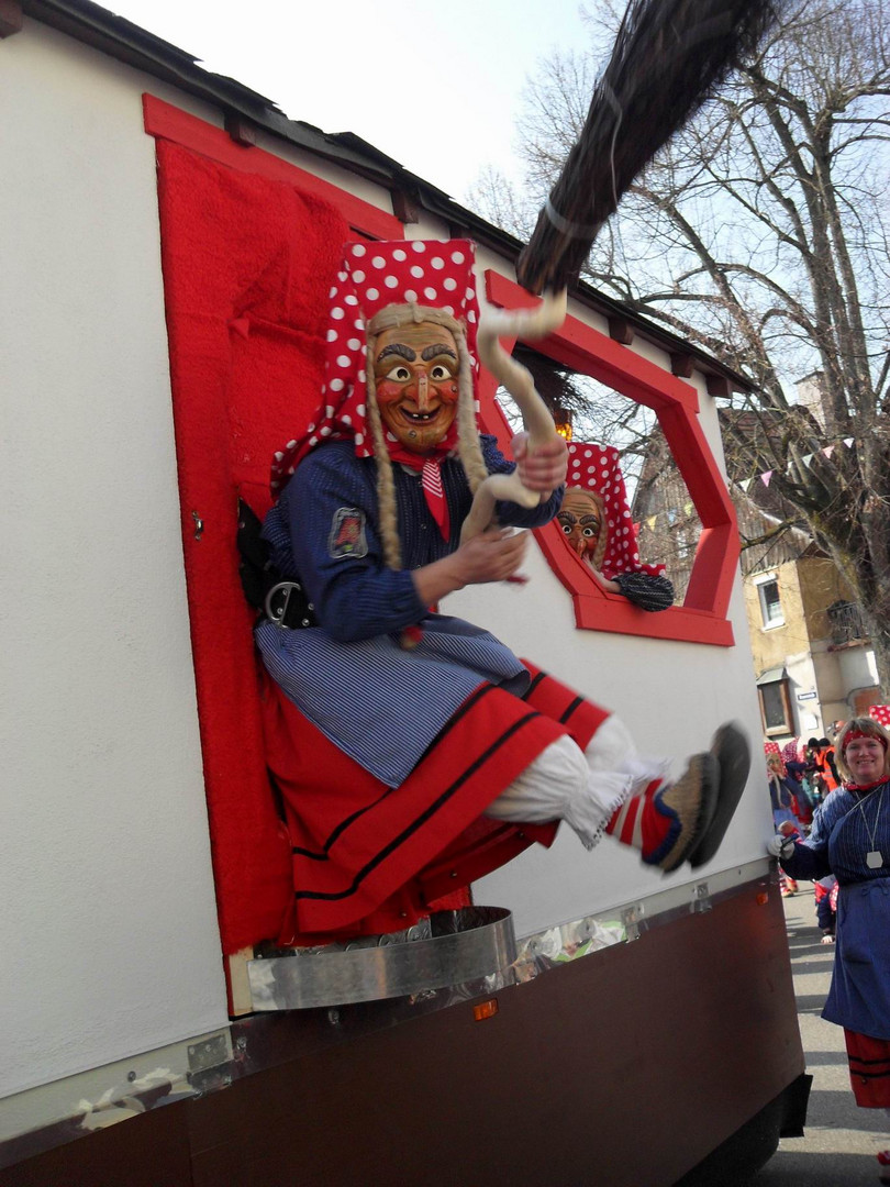 Narrenbilder aus der Badisch-Schwäbischen-Allemannischen Fasent / Fasnet / 2011