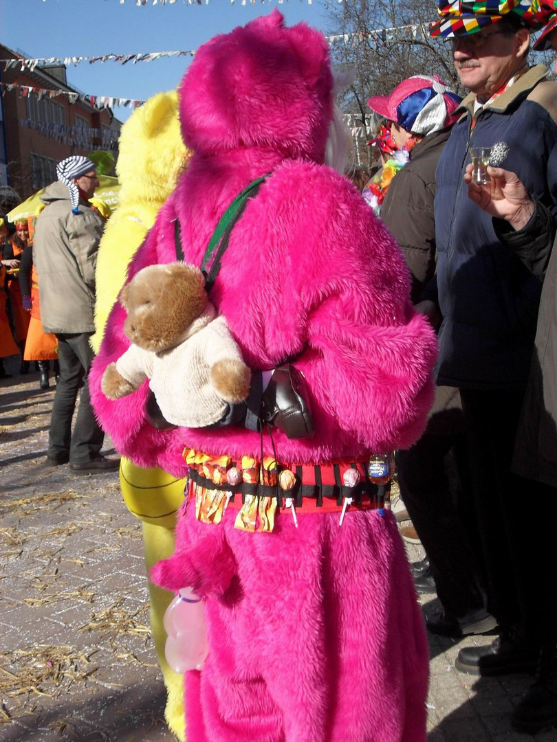 Narrenbilder aus der Badisch-Schwäbischen-Allemannischen Fasent - Fasnet