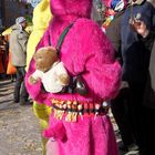 Narrenbilder aus der Badisch-Schwäbischen-Allemannischen Fasent - Fasnet