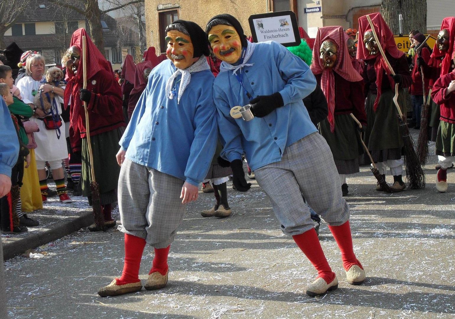 Narrenbilder aus der Badisch-Schwäbischen-Allemannischen Fasent/Fasnet 2011