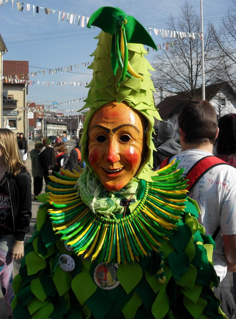 Narrenbilder aus der Badisch-Schwäbischen-Allemannischen Fasent/Fasnet