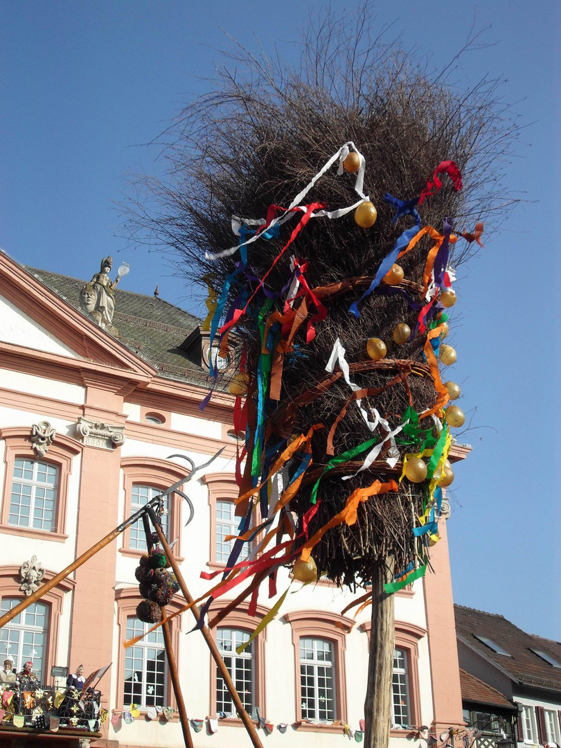 Narrenbilder aus der Badisch-Schwäbischen-Allemannischen Fasent/Fasnet/2011