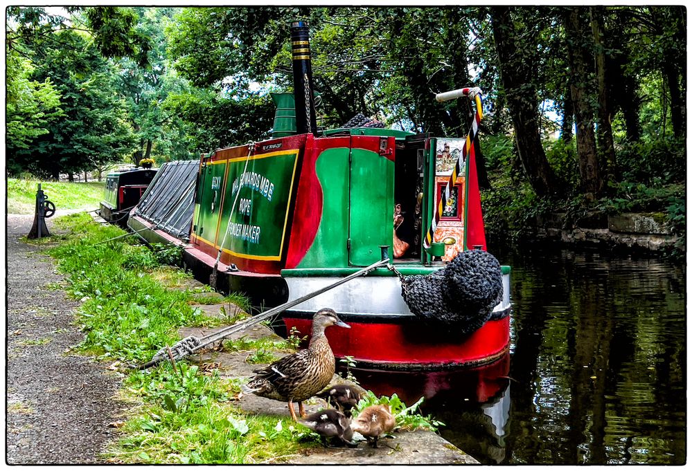 Narrow Boat