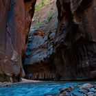 Narrows @ Zion