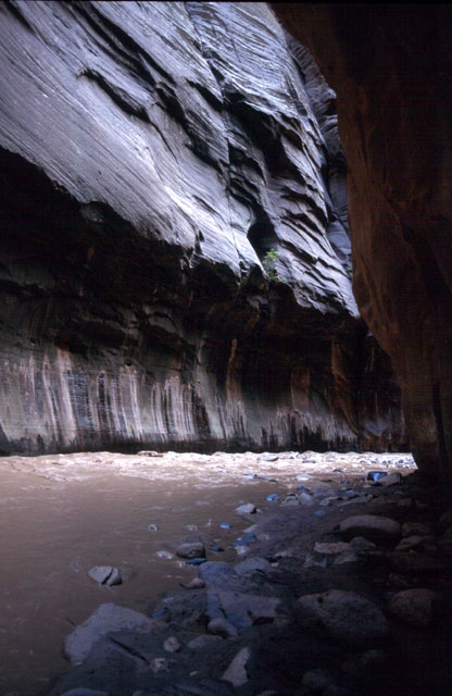 Narrows, Zion NP, Utah, USA