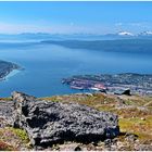 Narvik 2023-06-29 Weg zum Narvikfjellet