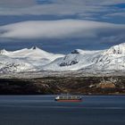 Narvikfjellet