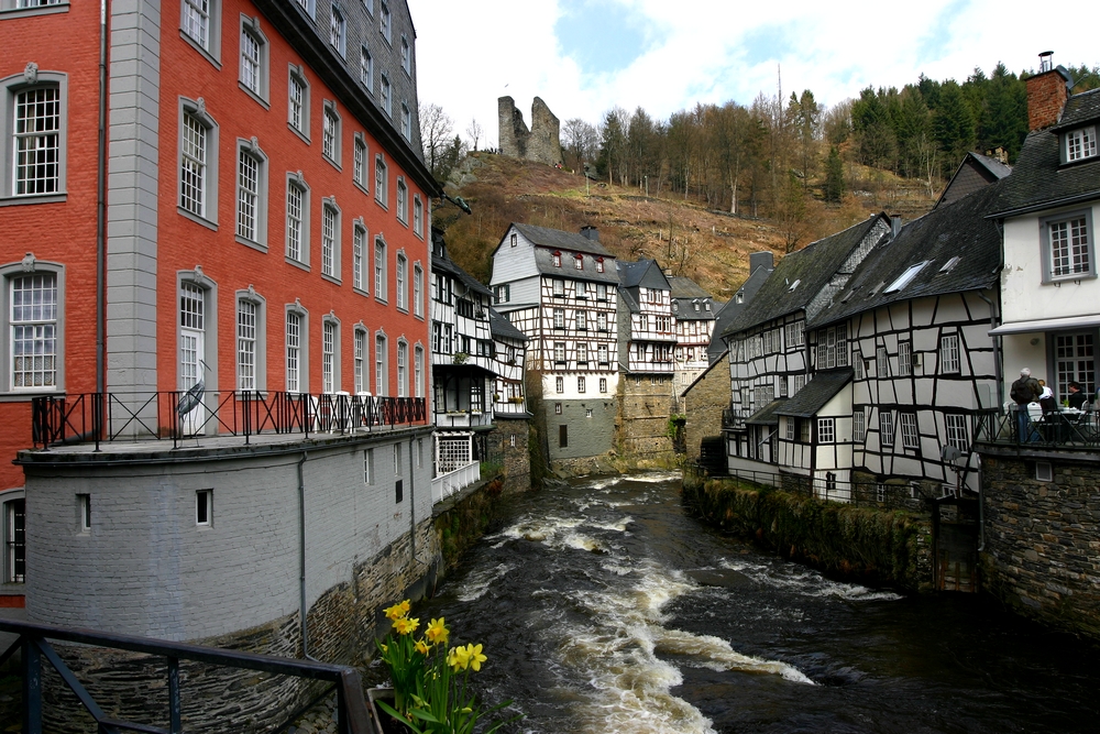 Narzissen vor dem Roten Haus