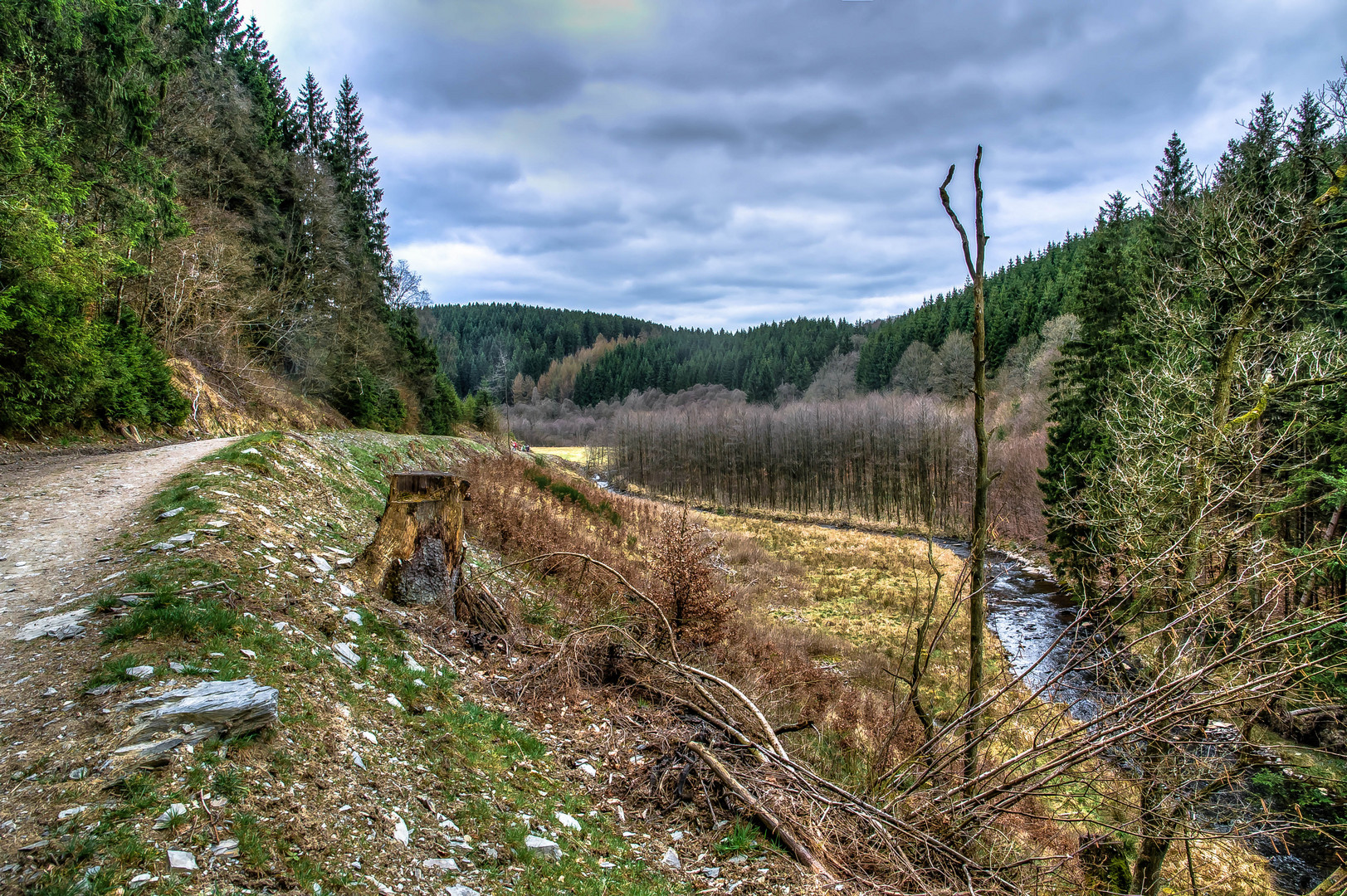 Narzissenweg Monschau-Höfen