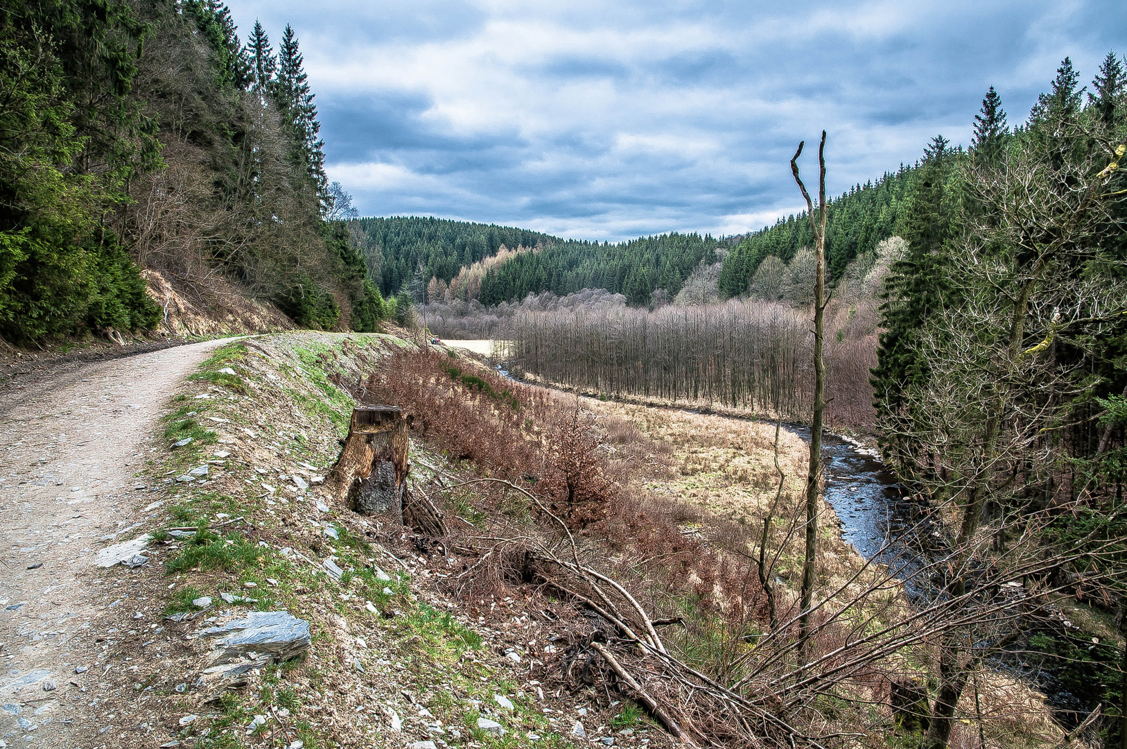 Narzissenweg Monschau-Höfen