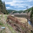 Narzissenweg Monschau-Höfen