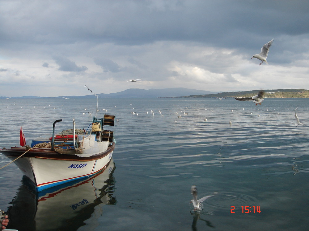 NAS&#304;P...BALIKLIOVA,KARABURUN,&#304;ZM&#304;R,TÜRK&#304;YE