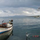 NAS&#304;P...BALIKLIOVA,KARABURUN,&#304;ZM&#304;R,TÜRK&#304;YE