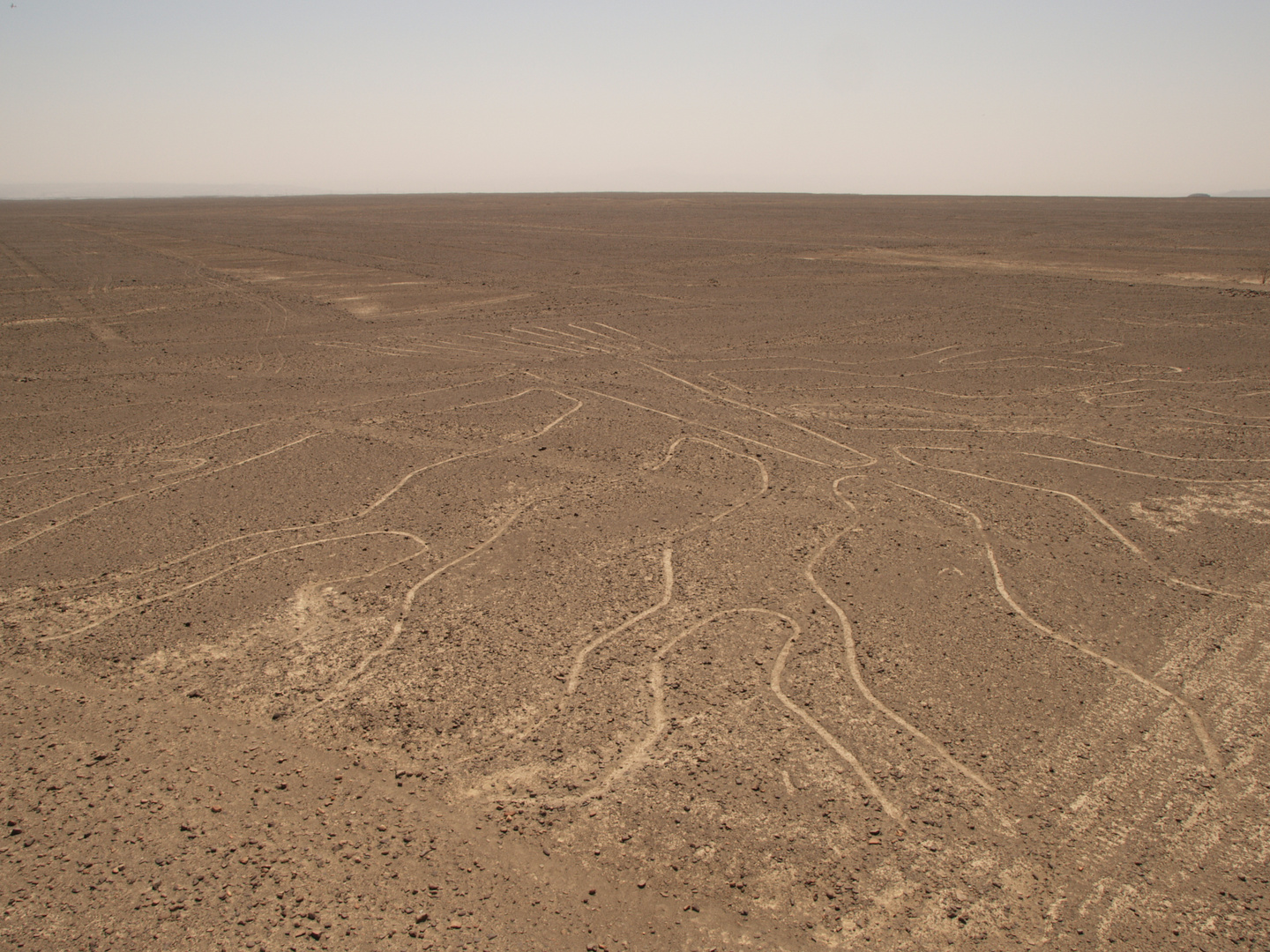 Nasca Lines