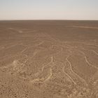 Nasca Lines