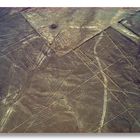 Nasca lines