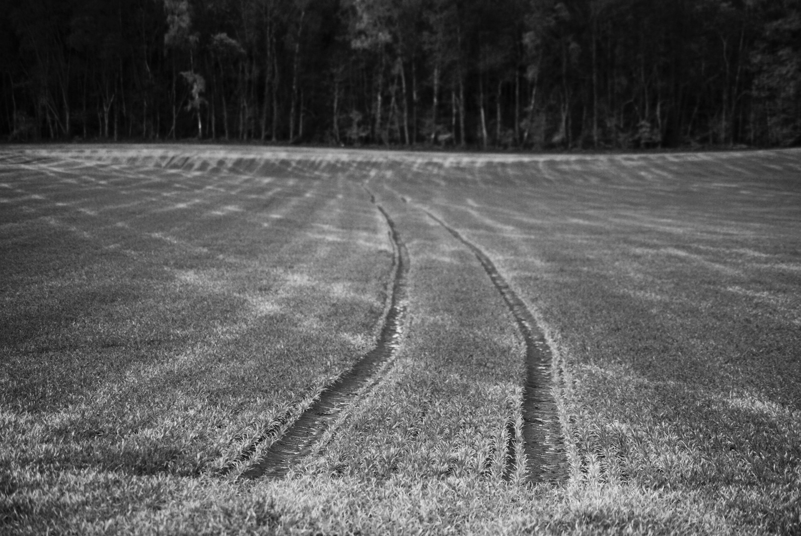 Nasca ou Meuse