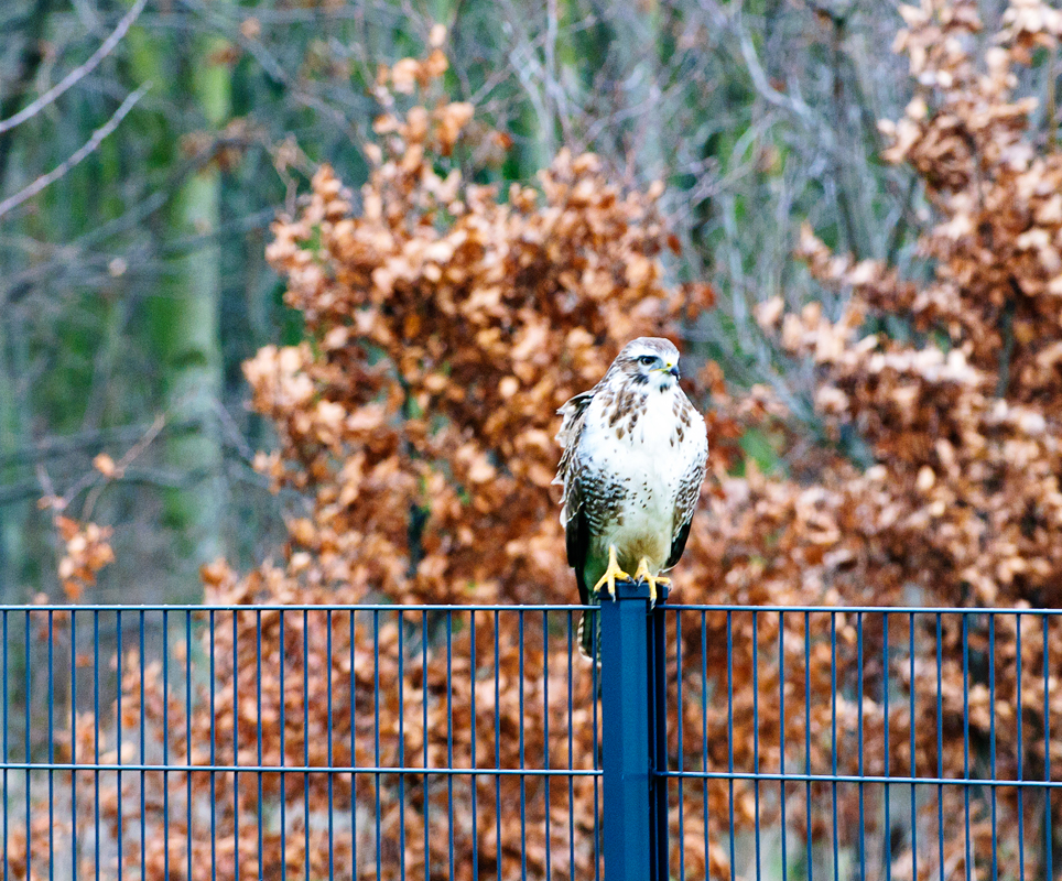 Naschbar zu Besuch