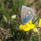 naschen macht müde