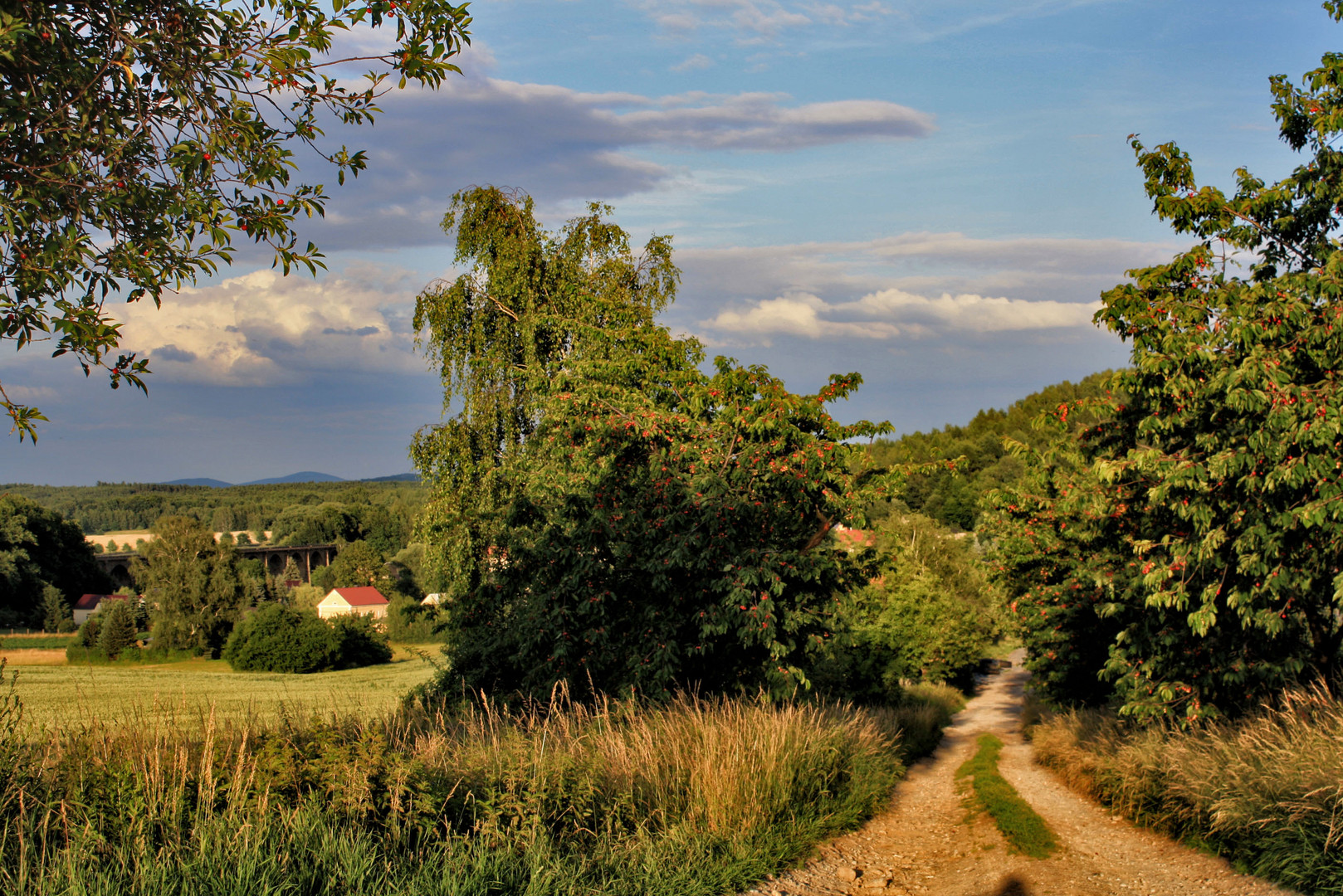 naschweg