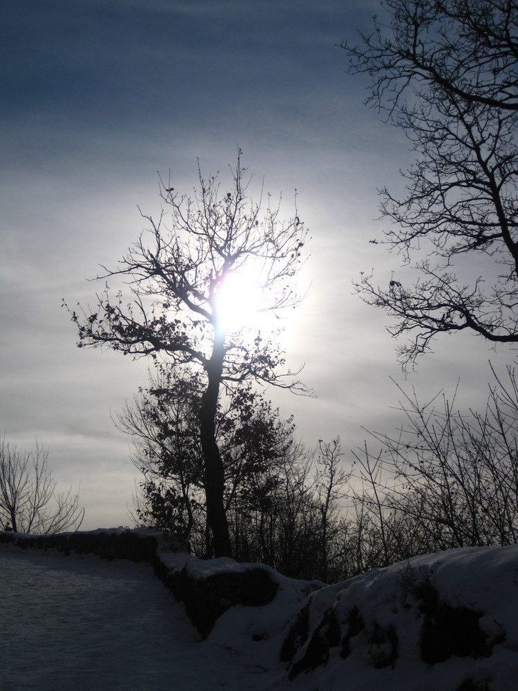 Nascondino con il sole