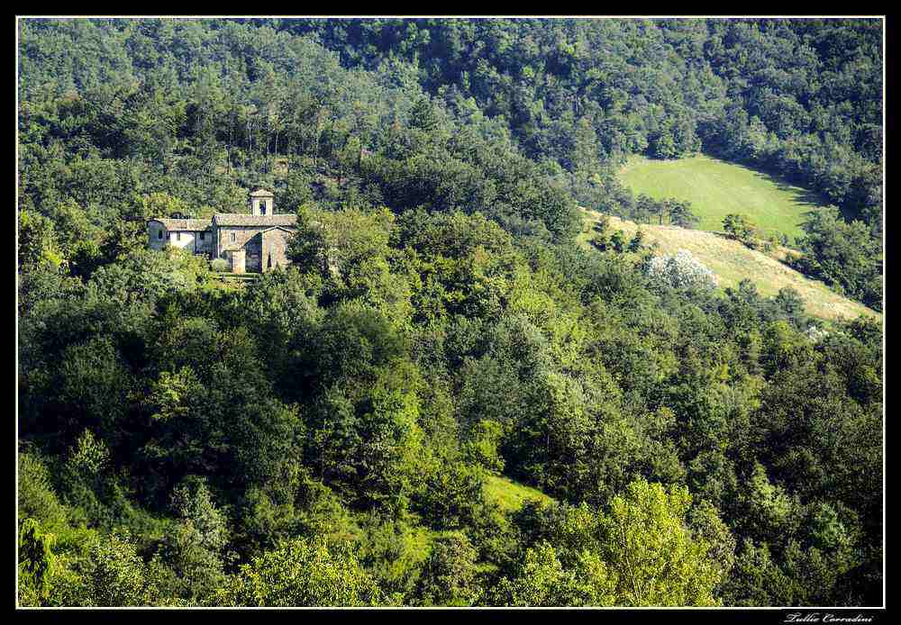 ..nascosta... dal verde!!