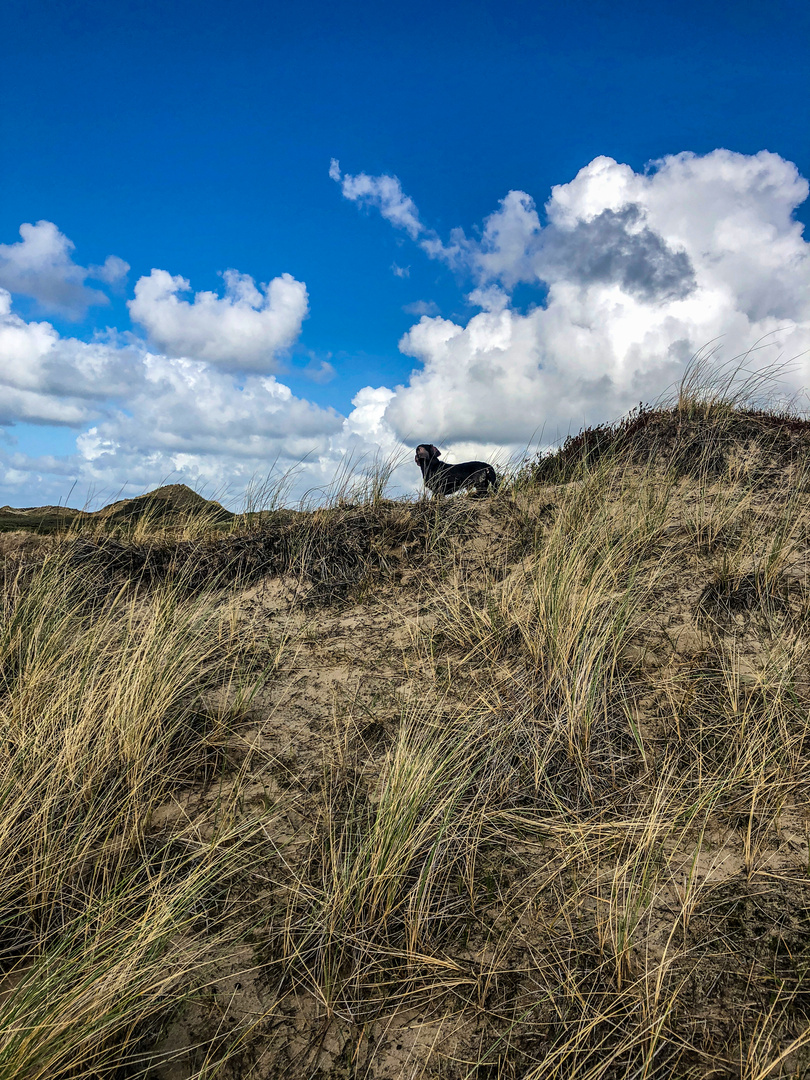 Nase im Wind