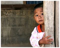 Naseweiss     -     Laos