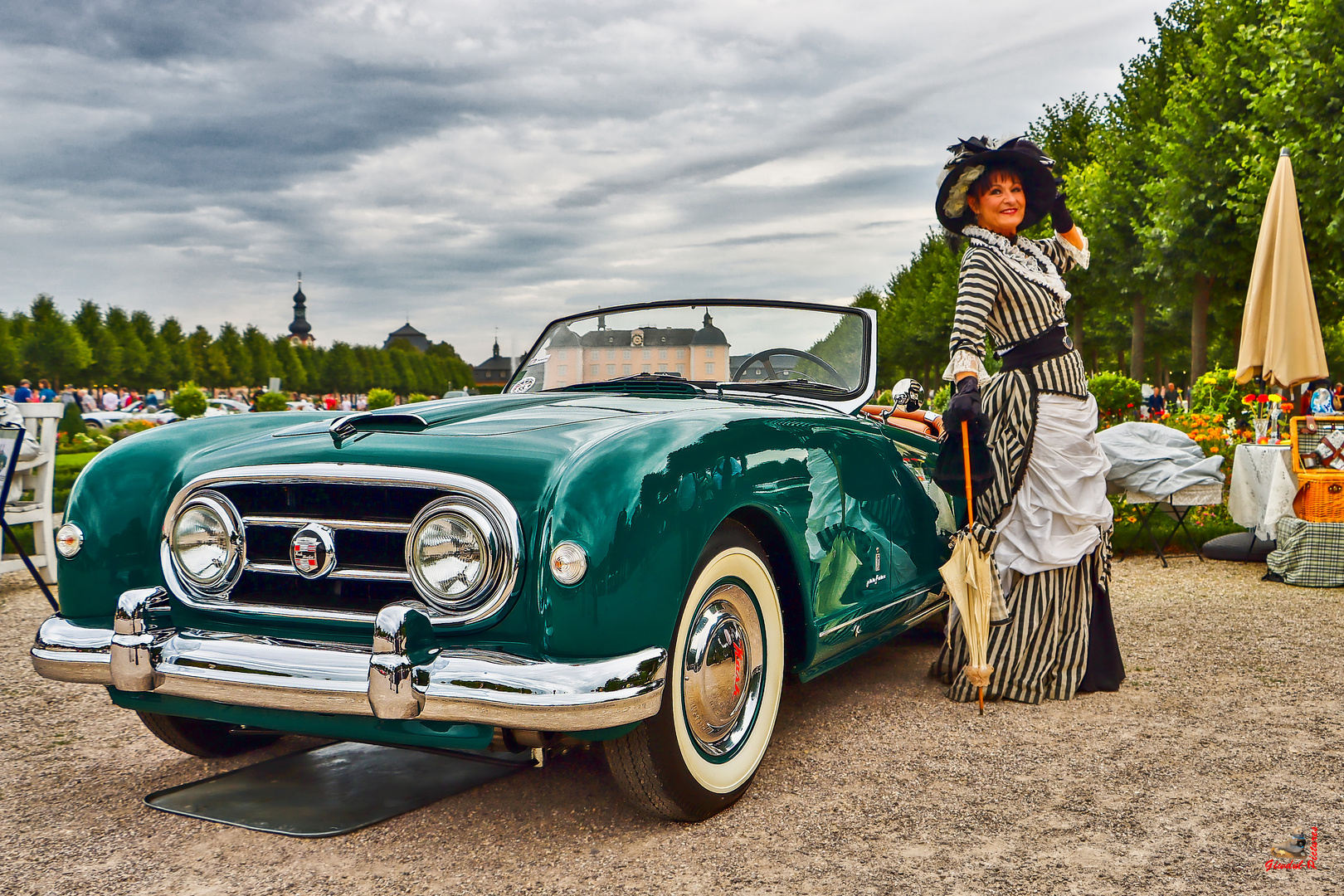 Nash Healey Pinifarina Roadster (BJ 1952)